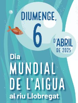 6 abril dia mundial de l'aigua
