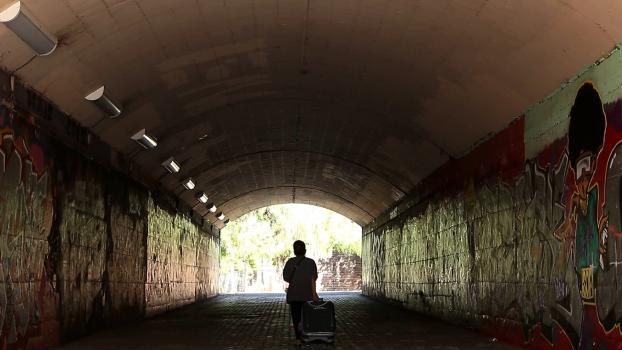 cultures vives portada