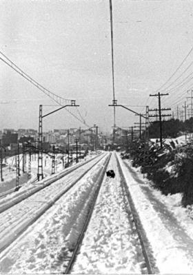 Nevada 1962 vies RENFE